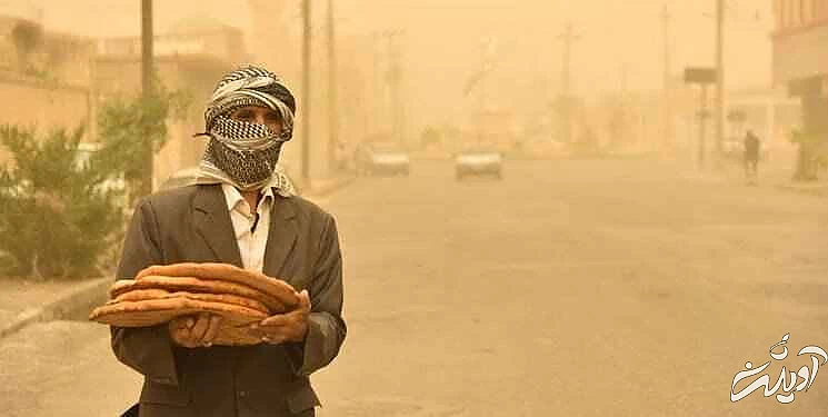 هنگام آلودگی هوا این خوراکی ها را حتما بخورید